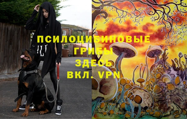 наркотики Белокуриха