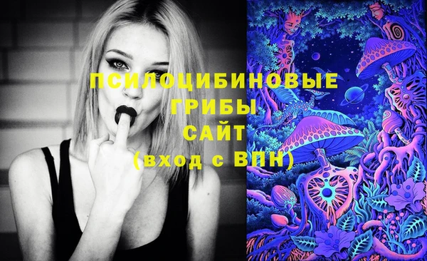 дмт Белоозёрский