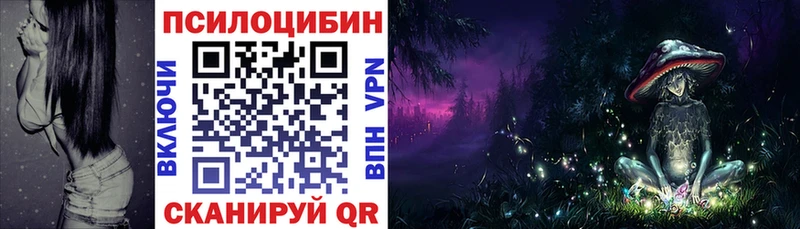 Галлюциногенные грибы Psilocybe  Купить где  Вичуга 